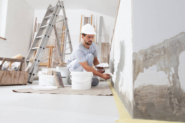 Best Fire-Damaged Drywall Repair  in West Point, UT